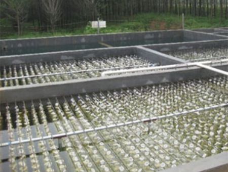 點擊查看詳細(xì)信息<br>標(biāo)題：養(yǎng)殖污水處理 閱讀次數(shù)：5048